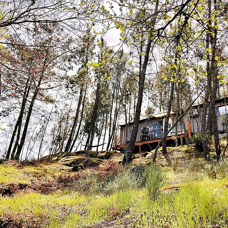 Relax Container Villa Aguiar da Beira Bagian luar foto